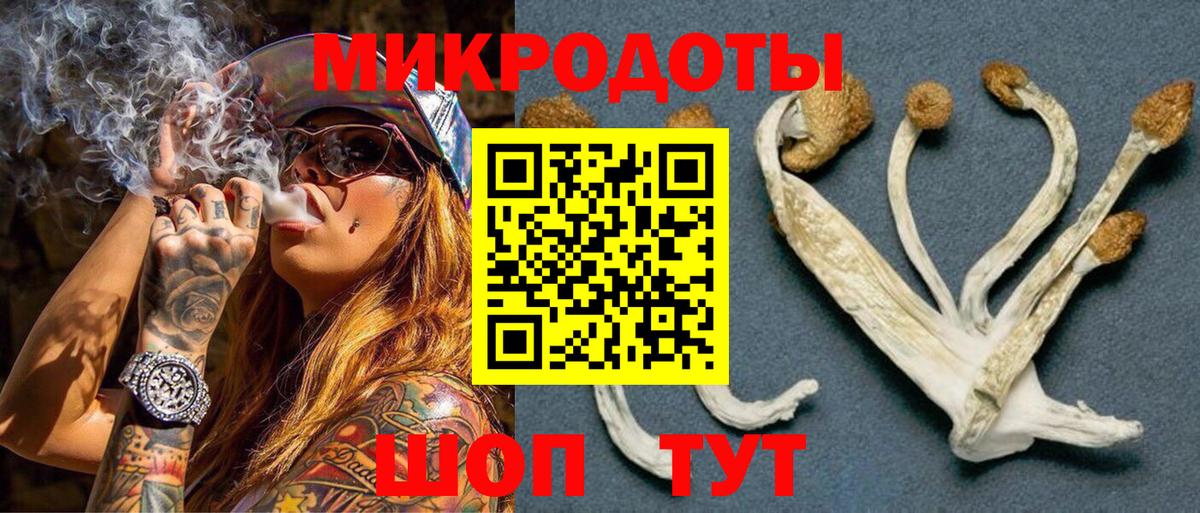 Псилоцибиновые грибы Psilocybine cubensis  Вход с VPN  Всеволожск  Галлюциногенные грибы прущие грибы 